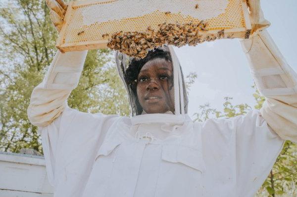 Student gets closer look at bees congregating on a hive frame.